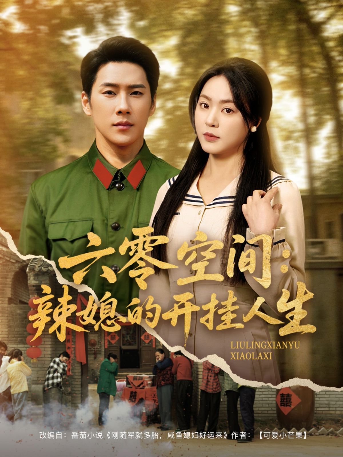 六零空間辣媳的開掛人生(全集)