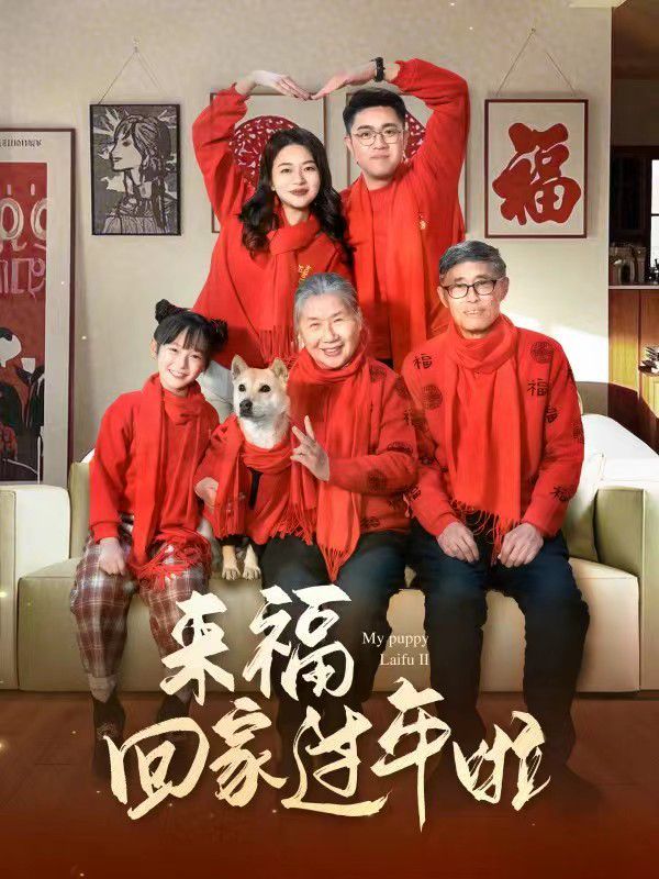 來?；丶疫^年啦(全集)