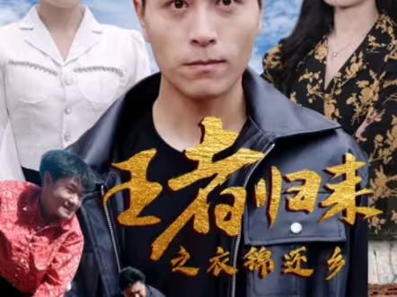 王者歸來(lái)之衣錦還鄉(xiāng)(全集)