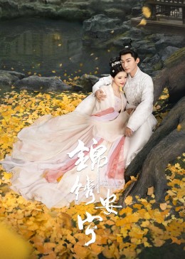 錦繡安寧第27集