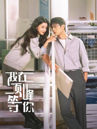 我在頂峰等你(全集)