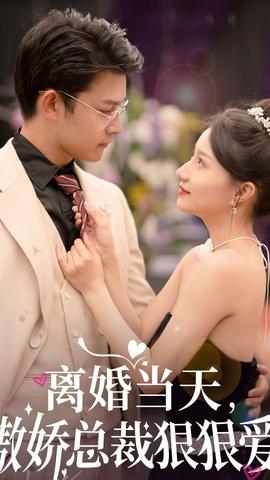 離婚當(dāng)天，傲嬌總裁狠狠愛(全集)
