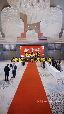 下山后，錯(cuò)撩一對(duì)雙胞胎(全集)
