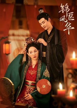 錦醫(yī)風華(全集)