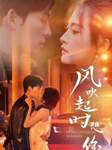 風吹起時想你第41-56集完結(大結局)