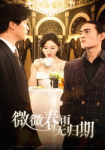微微春雨無歸期(全集)