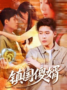 鎮(zhèn)國(guó)傻婿(全集)