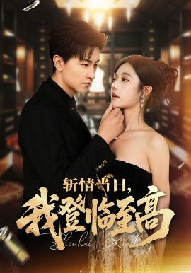斬情當日，我登臨至高(全集)