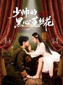 少帥的黑心菟絲花(全集)