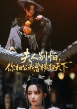 夫人別怕，你相公我曾橫掃天下(全集)