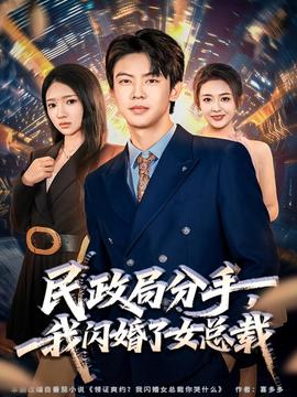民政局分手，我閃婚了女總裁(全集)