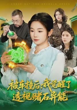 被車撞后，我覺醒了透視賭石異能了(全集)