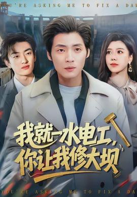 我就一水電工，你讓我修大壩(全集)