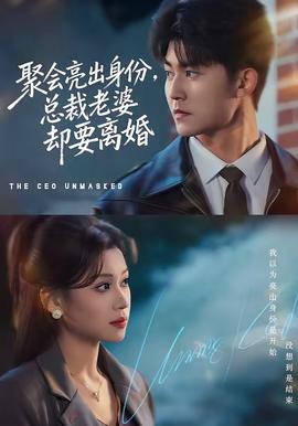 聚會亮出身份，總裁老婆卻要離婚(全集)