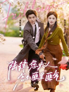 陸律，您夫人怎么匪里匪氣(全集)