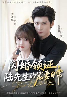 閃婚領(lǐng)證，陸先生的寵妻日常(全集)