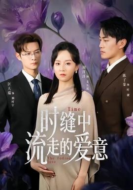 時(shí)縫中流走的愛(ài)意(全集)