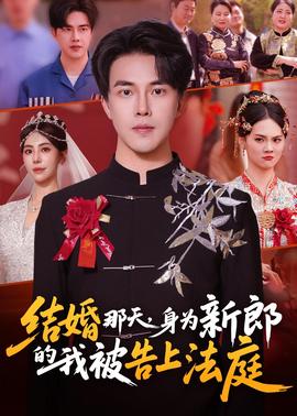 結婚那天，身為新郎的我被告上法庭(全集)