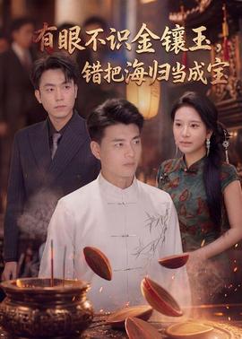 有眼不識金鑲玉錯把海歸當(dāng)成寶(全集)